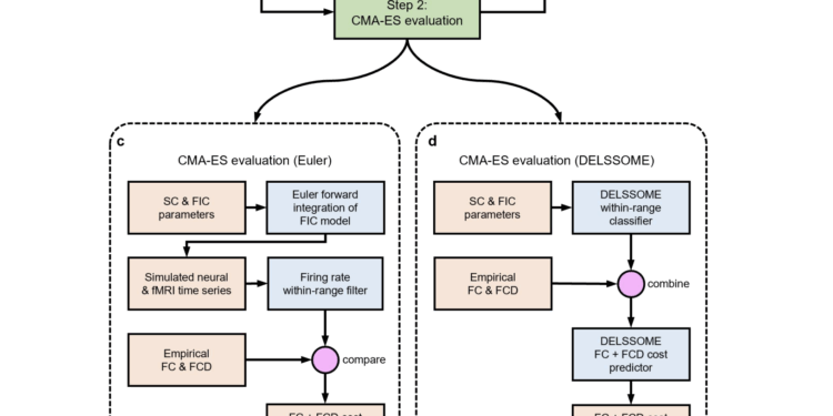Biophysical Brain Models Get a 2000× Speed Boost: Researchers from NUS, UPenn, and UPF Introduce DELSSOME to Replace Numerical Integration with Deep Learning Without Sacrificing Accuracy